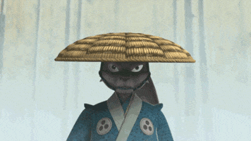 usagi yojimbo eye roll GIF by Teenage Mutant Ninja Turtles