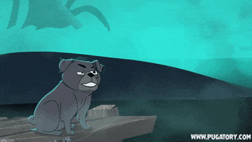 Dog Swimming GIF by Pugatory