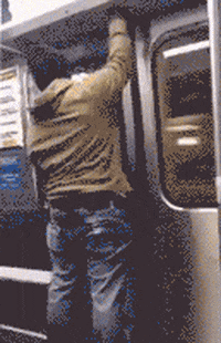vagabond  GIF