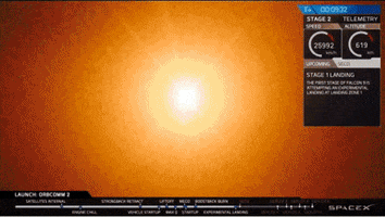 walsh  GIF
