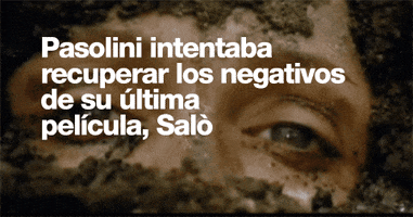 stephenlynemontgomery  GIF