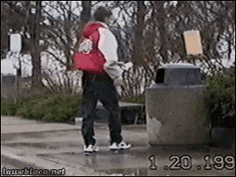 shinobi funny cat GIF