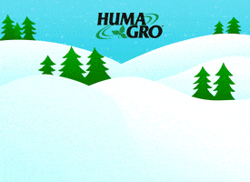 bedroom  GIF