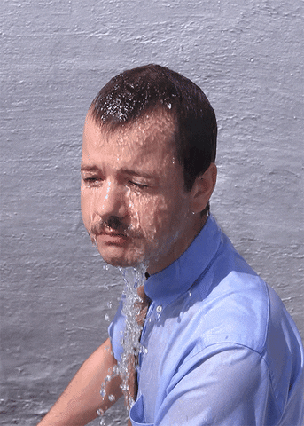 circulations  GIF