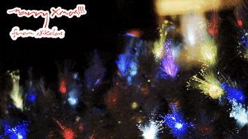 nikolas  GIF