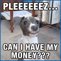 beg begging GIF by Halifax
