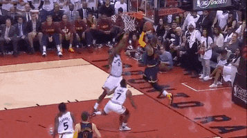 molnarm69  GIF