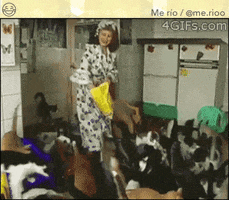 mirror  GIF