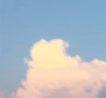 animation GIF by Ryan Seslow