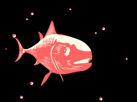 Animation Loop GIF by gasta
