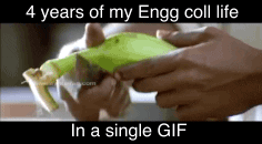 ramees2 engineering vadivelu chennai madras GIF