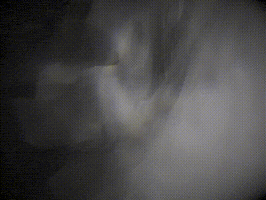 berlitzcorporation halloween night ghost dark GIF