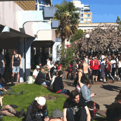 ronvanzetta 2015 victoria bc 4:20 GIF