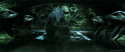 lorrainedelp  GIF