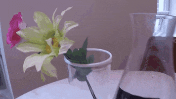 wine diy GIF by Little Things