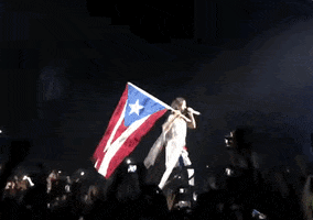 puerto rico concert GIF