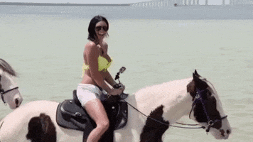 happy horseback riding GIF by Party Down South