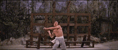 martial arts training GIF by Shaw Brothers