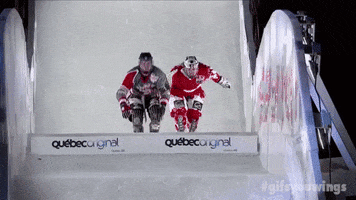 ice hockey yes GIF by Red Bull