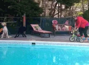 Pool Party Oops GIF