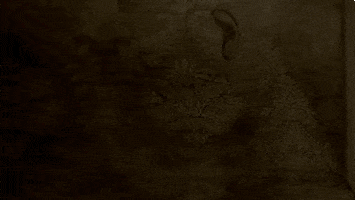 penny dreadful witches GIF by Showtime