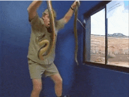 Steve Irwin Snakes GIF by Bustle