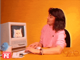 Cat Working GIF by GIFt Delivery