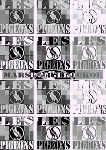 rachid les pigeons borgerhout GIF