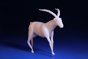 fredtretout horse stop motion cheval 3d print GIF