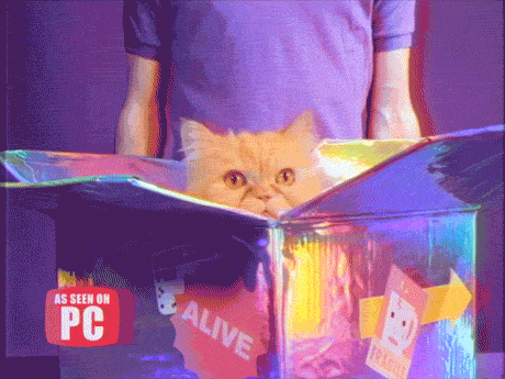 GIFt Delivery cat 90s retro kitten GIF