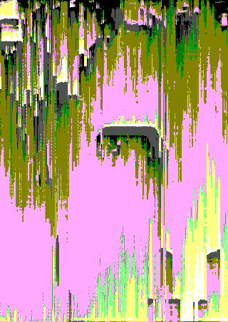 Leo Pyrata animated GIF