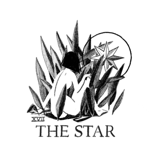 the star stars GIF by Stephanie Davidson