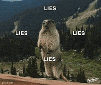 Life Likes Lies GIFs - Get the best GIF on GIPHY