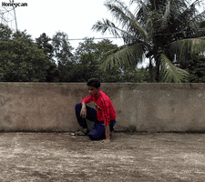 saifrazakhan kick martial arts capoeira wannabe GIF