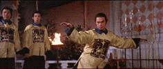 martial arts master killer 3 GIF by Shaw Brothers