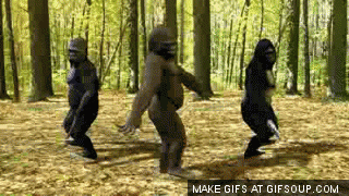 tika  GIF