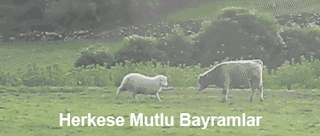 clockwork  GIF
