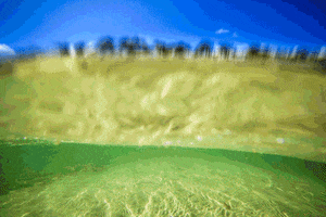 arthurdesouza #meiaagua #underwater #love #pool GIF