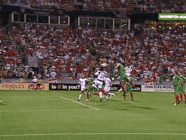 World Cup Qualifying Win GIF by U.S. Soccer Federation