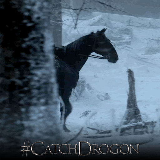 Game Of Thrones Hbo GIF by Catch Drogon