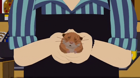 giphy.gif?cid=19f5b51a34e0667338e43bc79c0cae72fed9a51fc68e828b&rid=giphy.gif