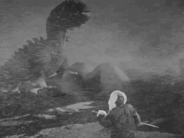 ray harryhausen the beast from 20000 fathoms GIF by Warner Archive