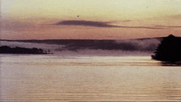 marty  GIF