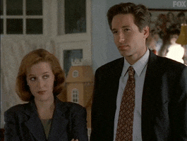 Looking Best Friends GIF by The X-Files