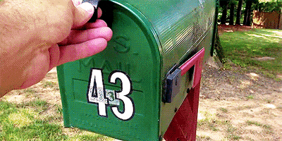 youve got mail puppy GIF