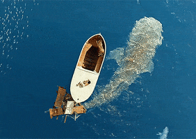 virus  GIF