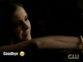 the vampire diaries kiss GIF by WhoSay