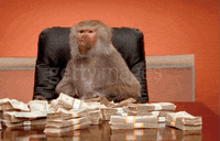 paid pay day GIF