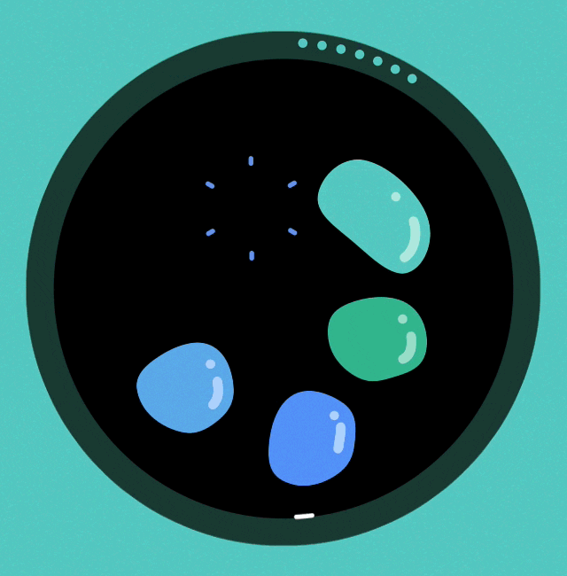 specimen game color play iphone GIF