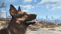 200w_d.gif